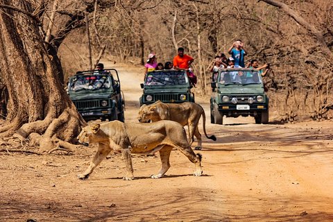 Image of Sasan Gir